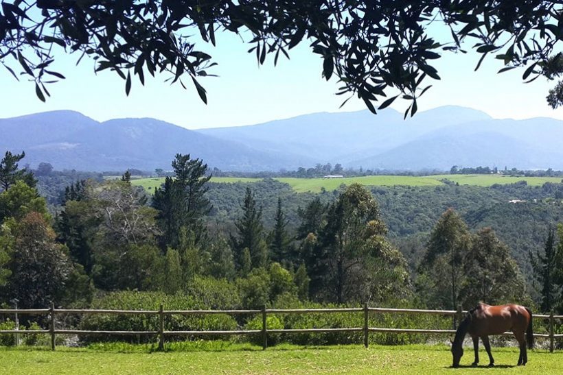 beautiful-views-2