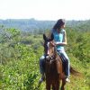 bed-and-breakfast-hamilton-parks-country-lodge-hazyview-006