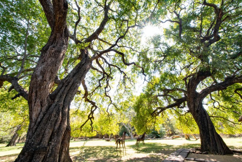 blyde_river_canyon_lodge_18_37