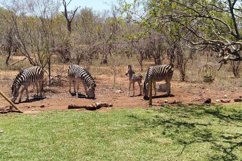 callofthewildlodge_68-x_large