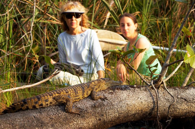 crocodile crocodile