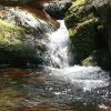 forestcreek01 forestcreek01