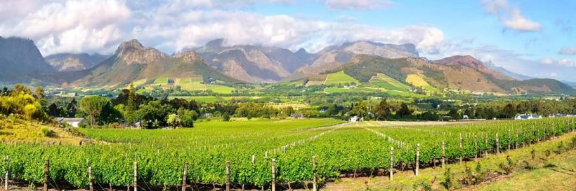 franschhoek-vineyards-1