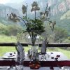g372062 g372062