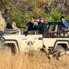 game-drive-inyati-sabi-sands