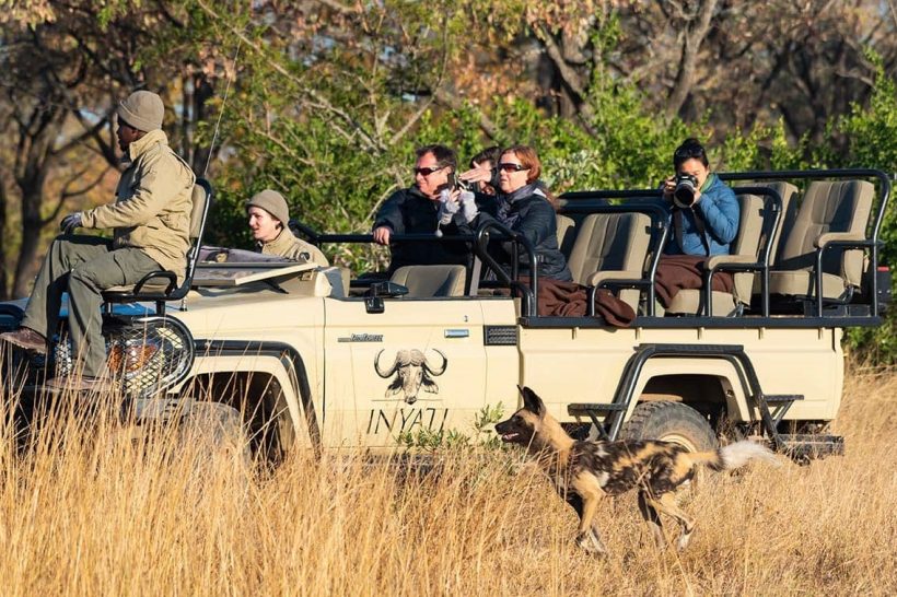 game-drive-inyati-sabi-sands