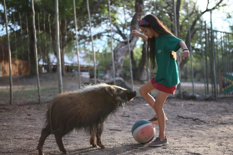 girl and bushpig (1)