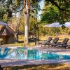 inyati-lodge-sabi-sands-pool