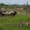 inyati_seen_on_safari