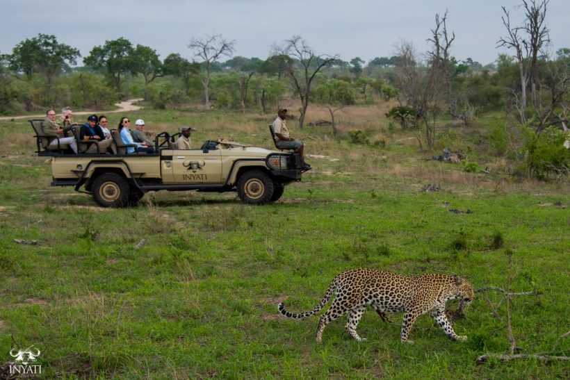 inyati_seen_on_safari
