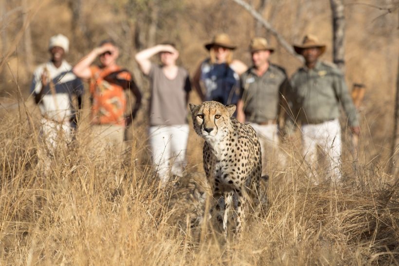 karongwe-232
