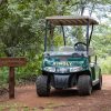 kingly_golf_cart kingly_golf_cart