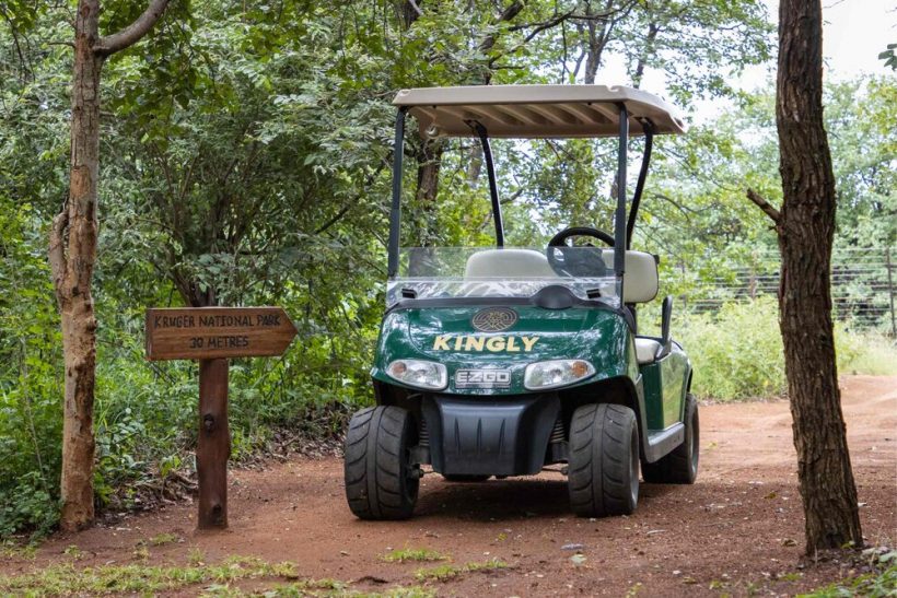 kingly_golf_cart kingly_golf_cart
