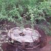 liontreebushlodge-31284-160467 liontreebushlodge-31284-160467