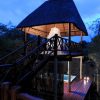 liontreebushlodge_26-x_large liontreebushlodge_26-x_large