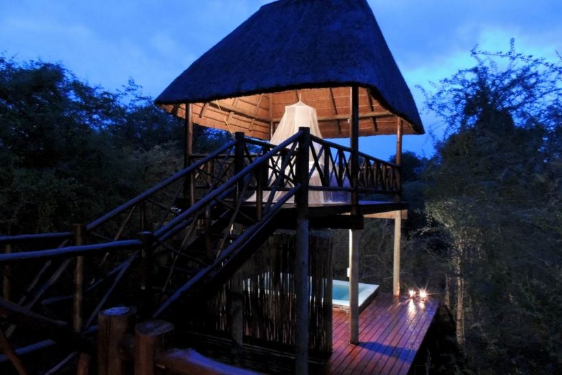 liontreebushlodge_26-x_large liontreebushlodge_26-x_large