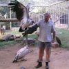 local-attractions-moholoholo-rehab-centre1