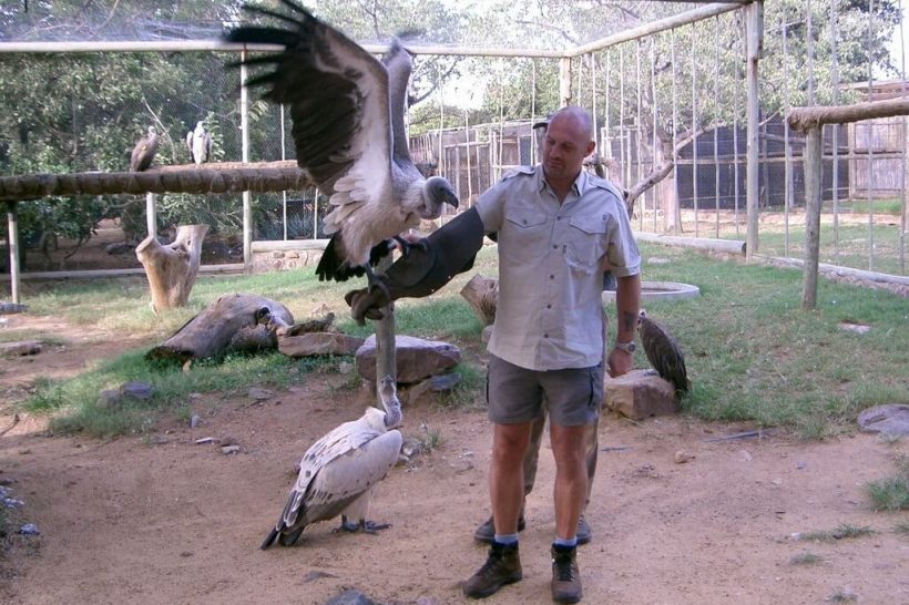 local-attractions-moholoholo-rehab-centre1