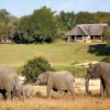 luxury-safari-inyati-lodge-sabi-sands