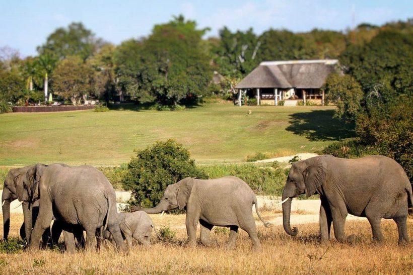 luxury-safari-inyati-lodge-sabi-sands