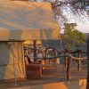 ndzuti-safari-camp (1)