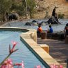 ndzuti-safari-camp