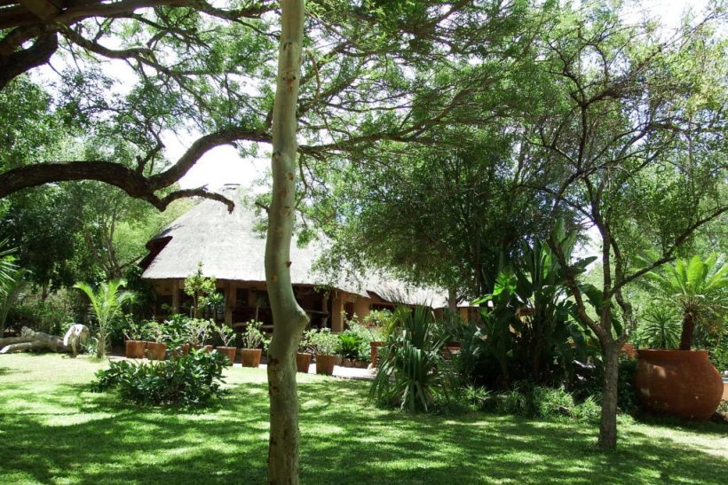 ndzuti-safari-camp-1024×683-v1