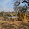 ndzuti-safari-camp (2)