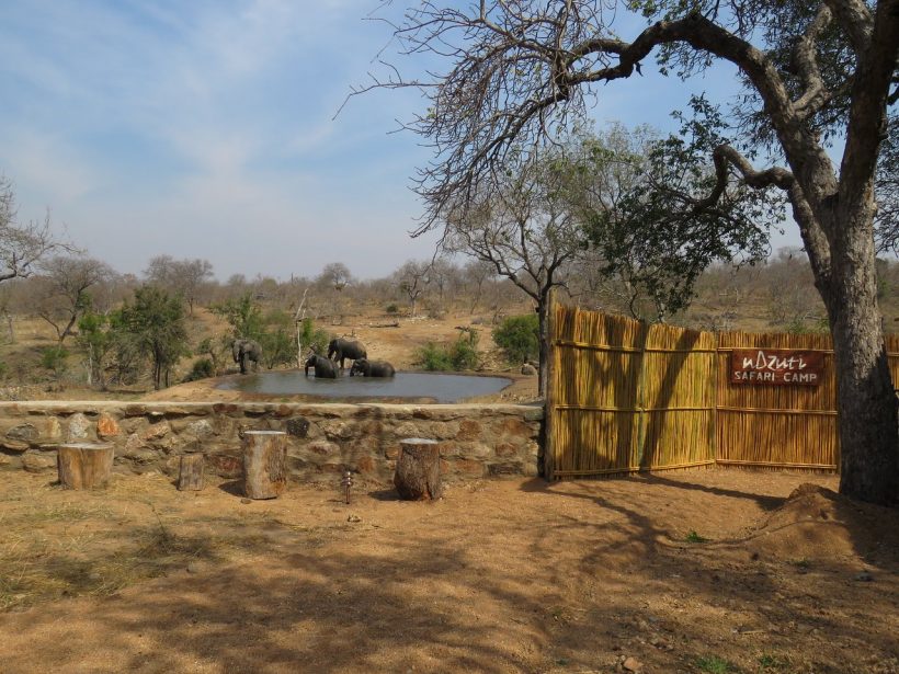 ndzuti-safari-camp (2)