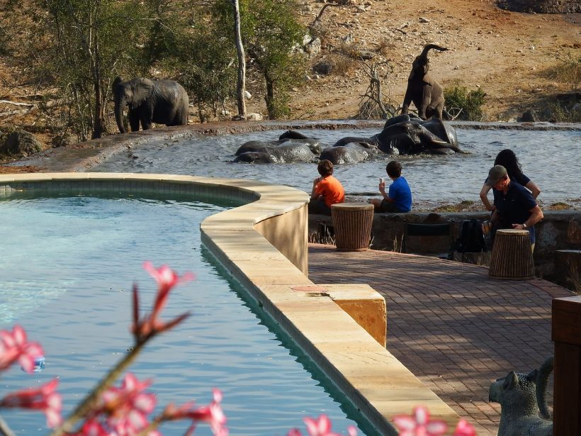 ndzuti-safari-camp