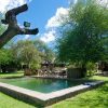 pool-gallery-2-1