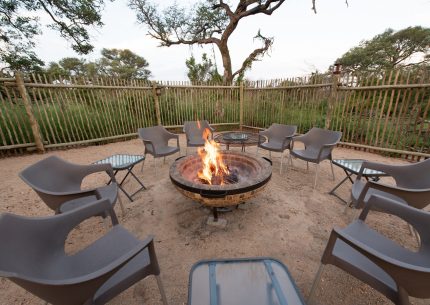 Paris Bush Camp Route 40