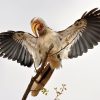 shutterstock_41671291