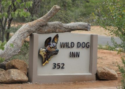 Wild Dog Inn
